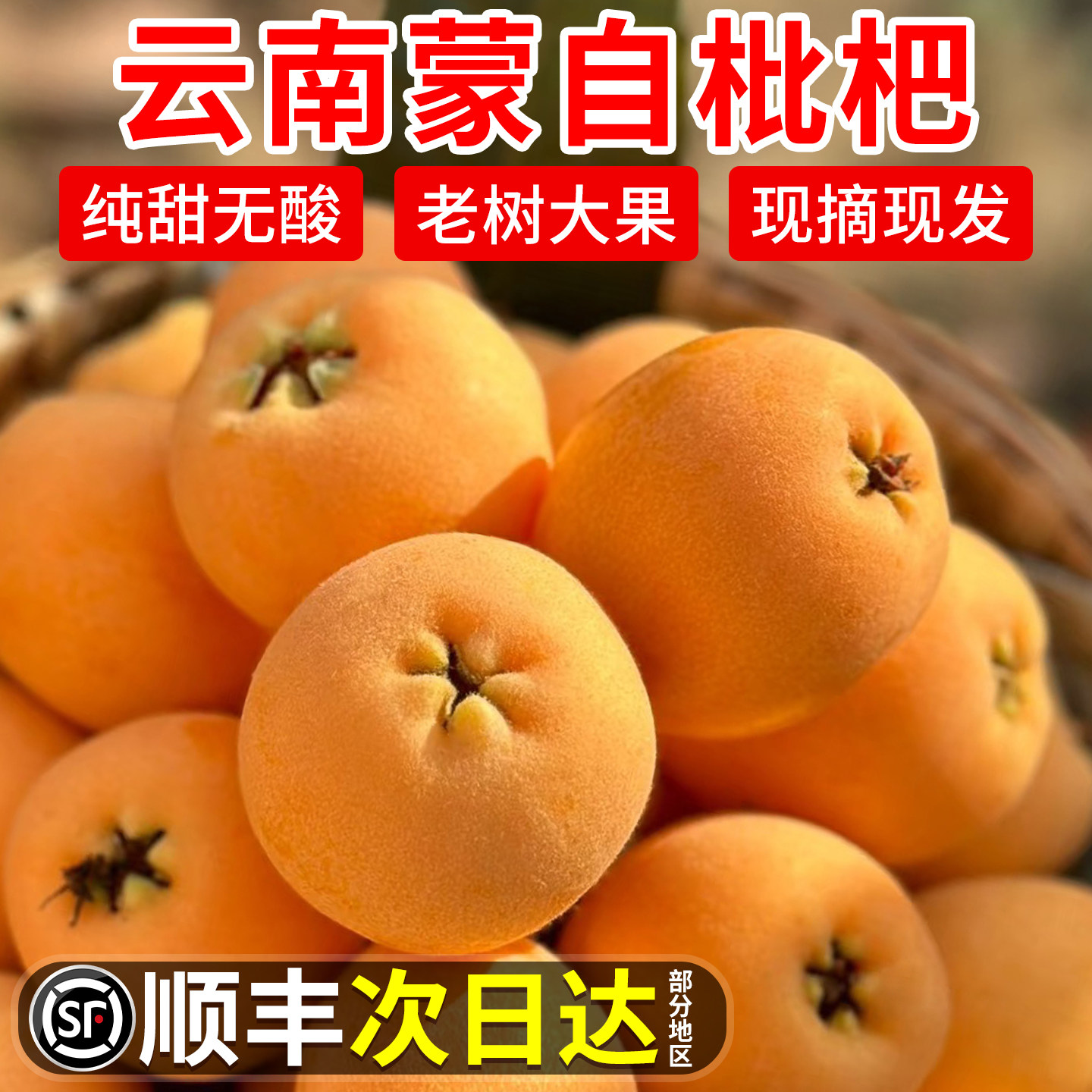 顺丰礼盒正宗云南蒙自枇杷鲜果特大应季琵琶新鲜水果包邮现摘纯甜,水产肉类/新鲜蔬果/熟食,枇杷,淘宝优惠券,粉丝福利购,淘宝优惠卷