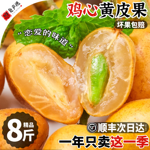 顺丰次日达丨精选现摘广东黄皮果