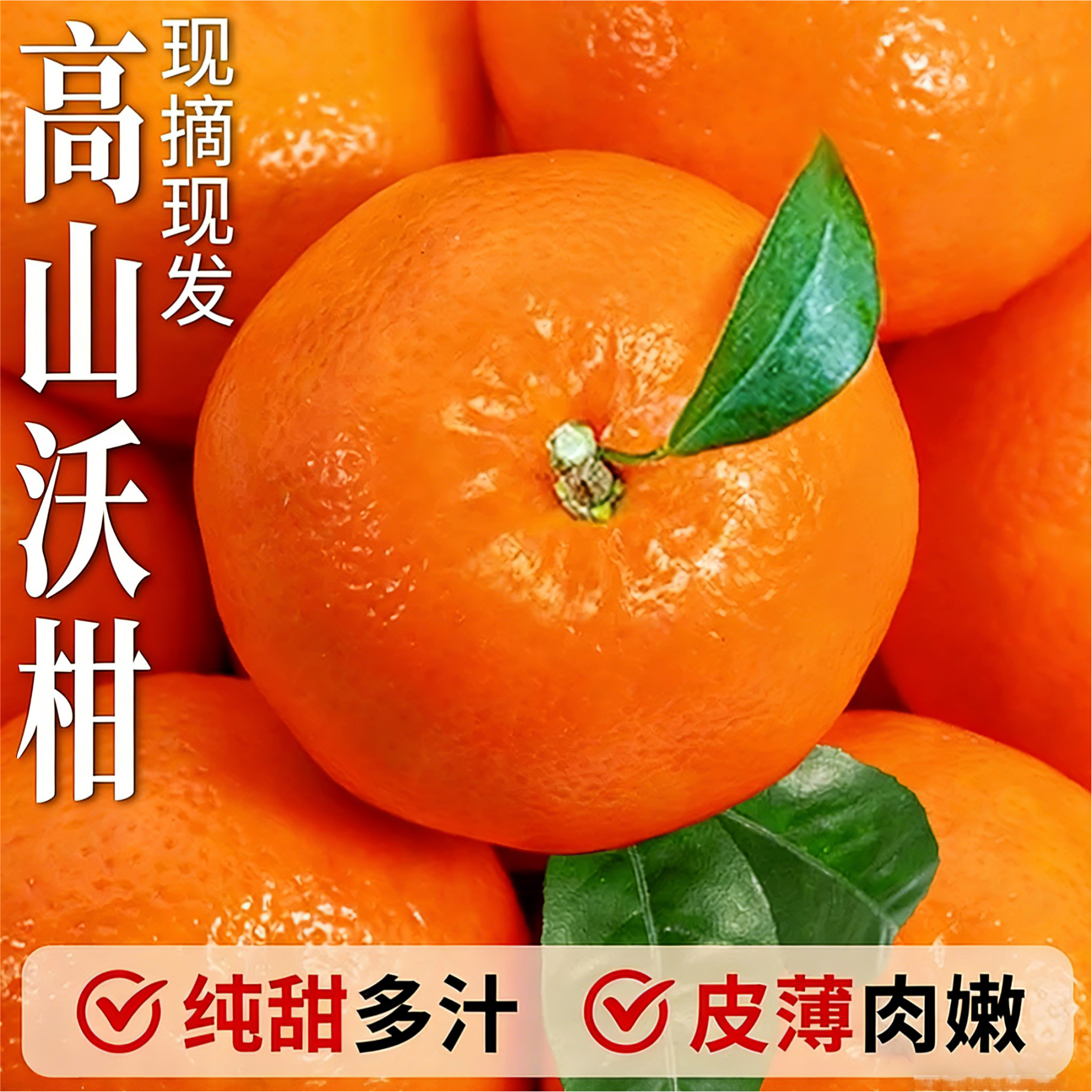 正宗广西高山沃柑10新鲜现摘云南贡柑耙粑柑橘砂糖红蜜金桔子整箱,水产肉类/新鲜蔬果/熟食,桔子,淘宝优惠券,粉丝福利购,淘宝优惠卷