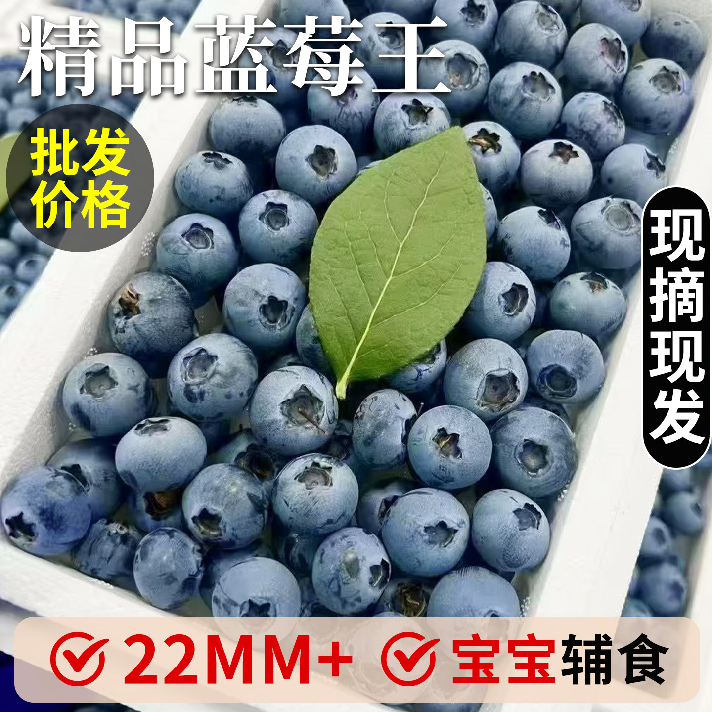 云南花香蓝莓4盒18mm枝冠