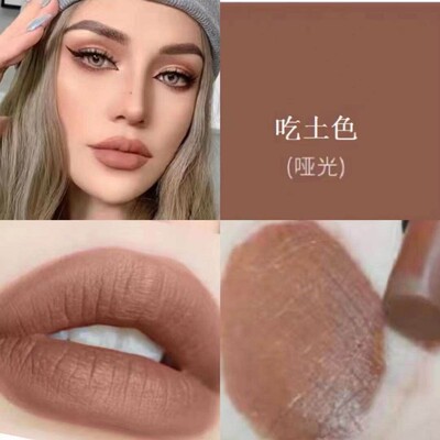 吃土色口红欧美妆复古正红冷门色哑光棕色咖色摩卡樱桃色裸色