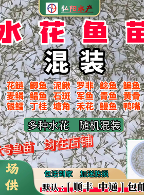 水花鱼苗混装 淡水养殖  大头草鱼泥鳅武昌罗非笋观赏鱼 乌龟口粮