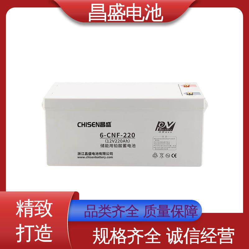 昌盛 6-CNFJ-220 太阳能蓄电池 胶体蓄电池 太阳能电池 理