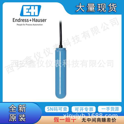 E+H浮子开关FTS20电容物料开关FTC260FTC262原装正品