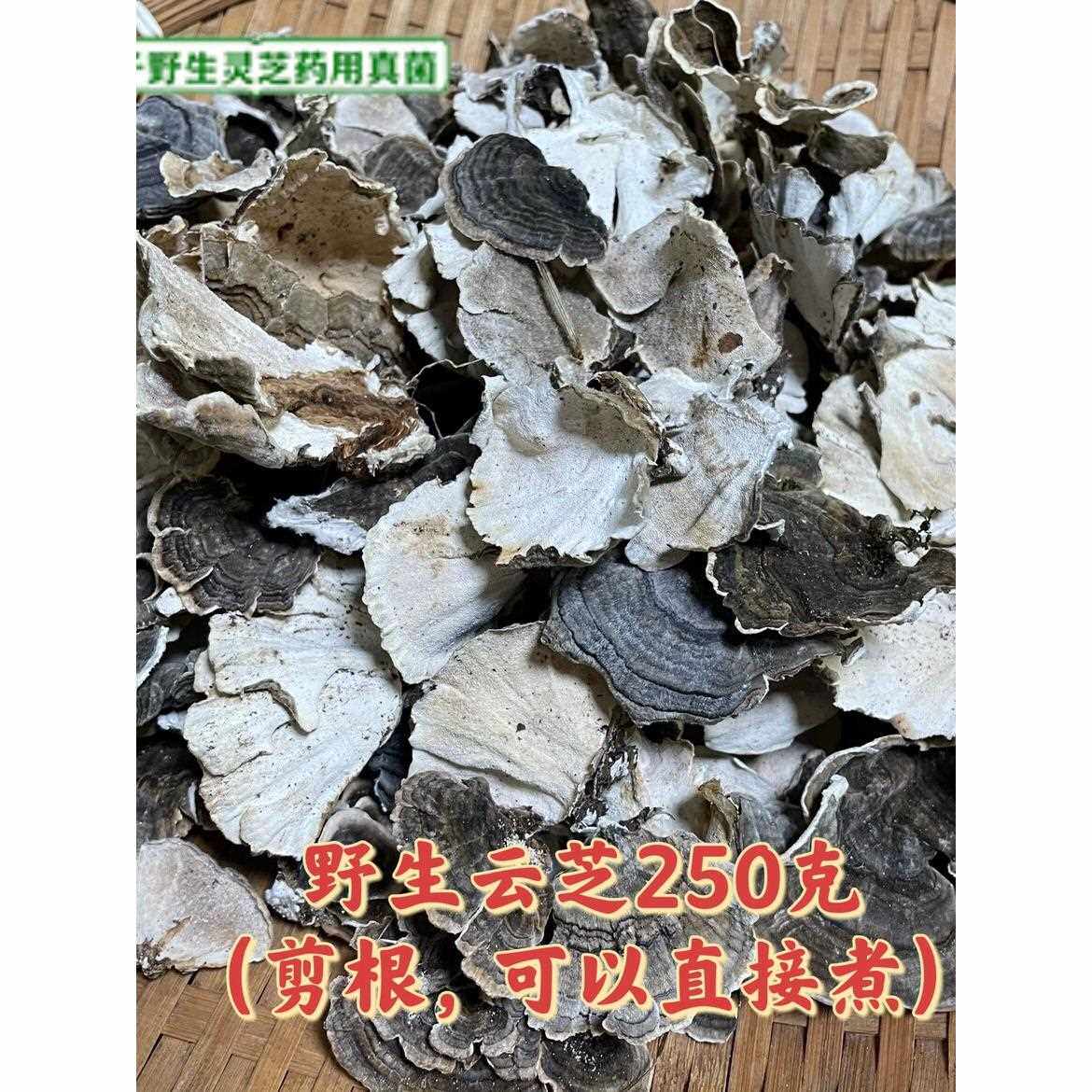 野生灵芝 新货精选云芝 野生云芝 千层蘑灵芝片 革盖菌 250克