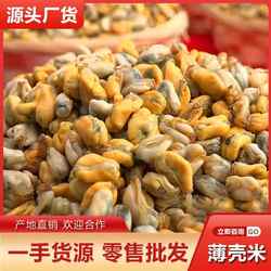 潮汕薄壳米 海瓜子米纯肉无沙当天现剥海鲜水产餐饮供应