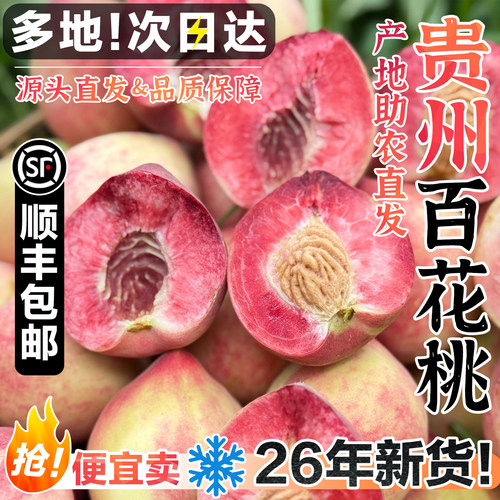顺丰包邮贵州百花桃白节桃批发