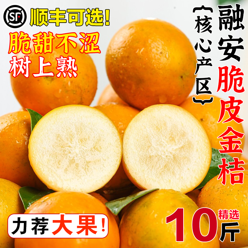 【顺丰可选】广西脆皮小金桔脆甜