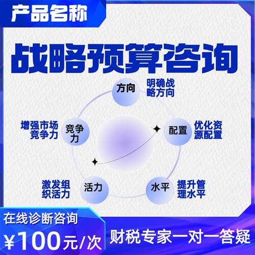 战略预算咨询 - 封面