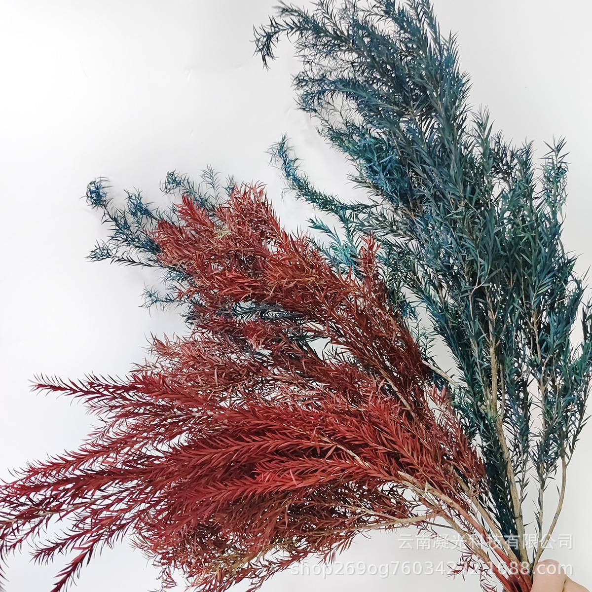 永生千层金 DIY材料包 婚庆装饰花束插花 圣诞风保鲜叶材干花