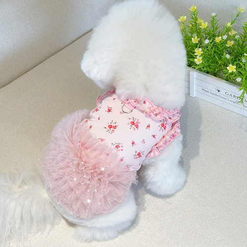 夏季新款猫咪狗狗印花家居服夏季冰丝棉裙子泰迪比熊宠物衣服