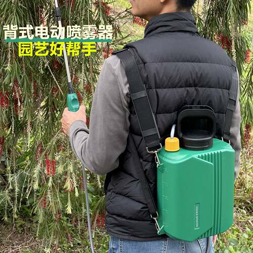 肩负式电动喷壶园艺喷水壶手提式电动喷雾器农用小型打虫消毒喷壶