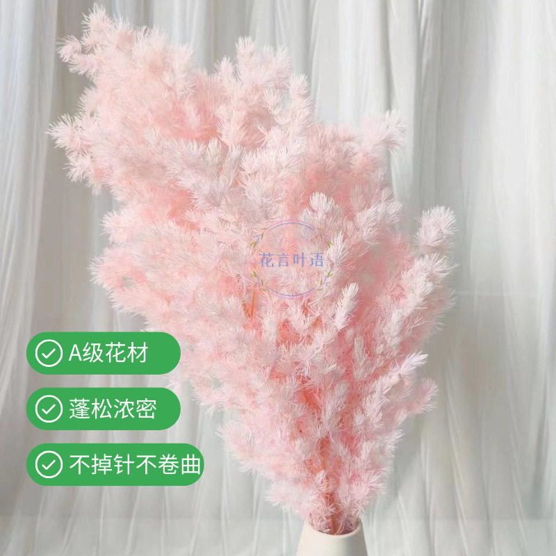 永生蓬莱松雪松干花真花diy婚庆花卉永蝴蝶永生花DIY材料工厂