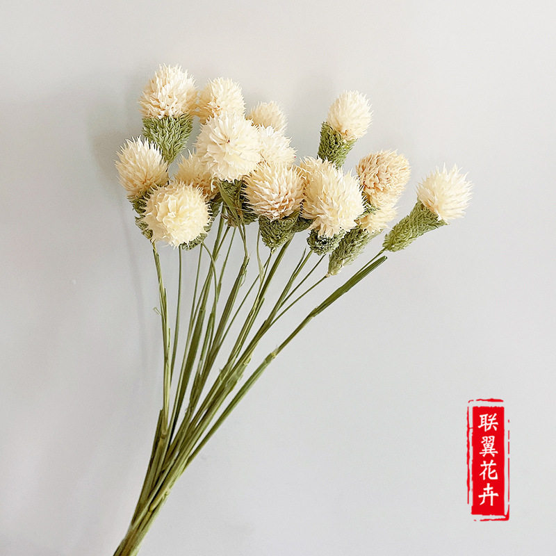 草莓果干花 草莓球混合花束diy插花配材千日红干花花束小清新家居