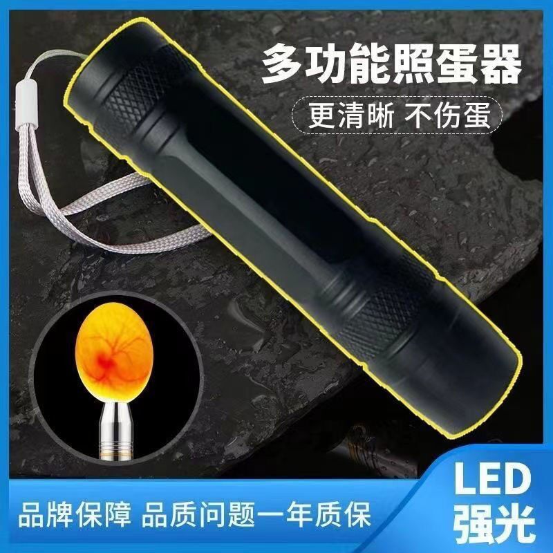 照蛋器孵化机可充电LED手
