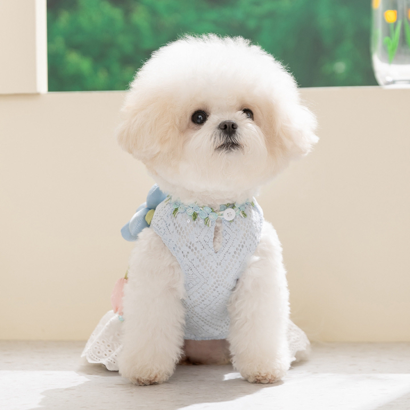 立体花朵宠物服饰春夏季薄款田园小型犬比熊泰迪连衣裙子狗狗衣服
