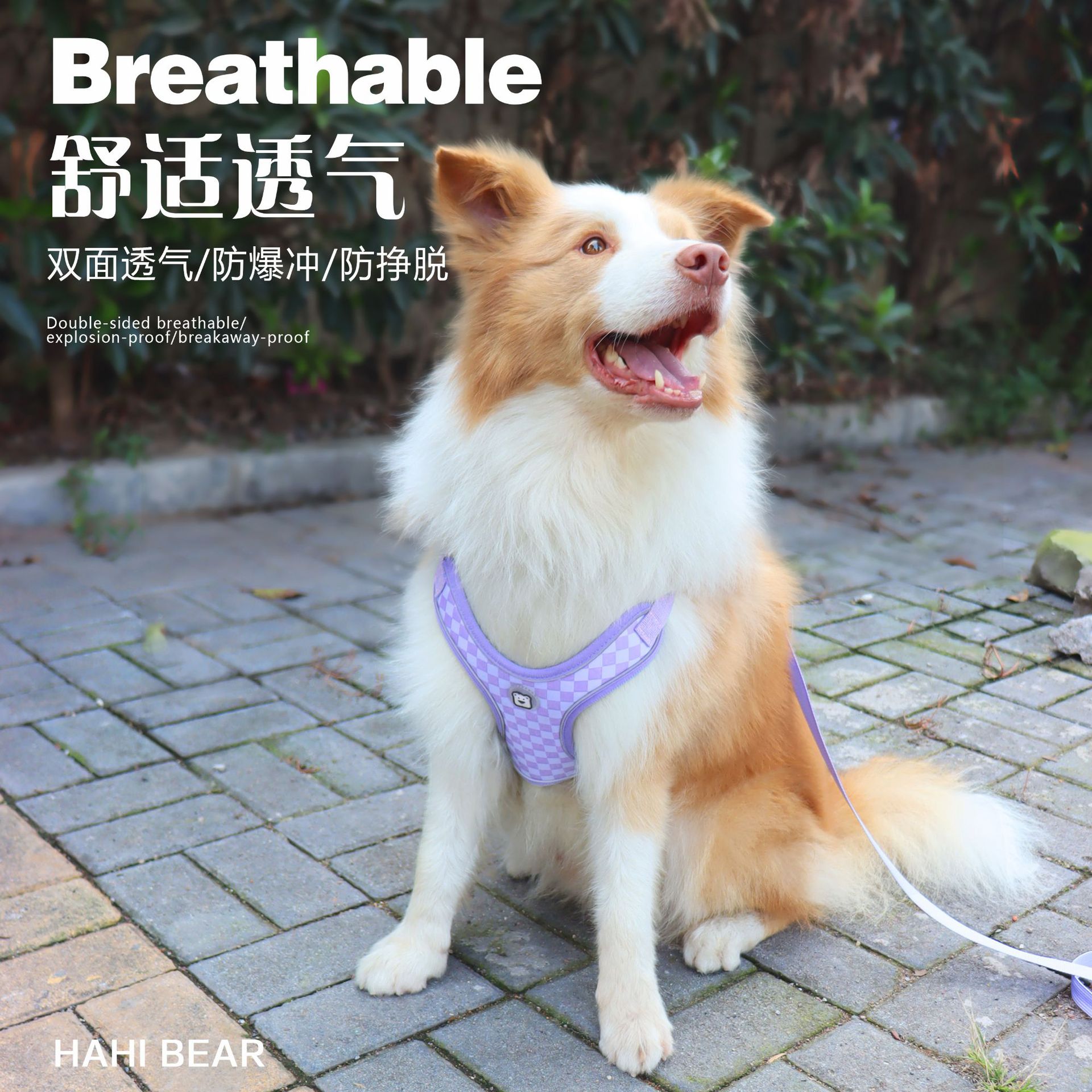 狗狗专用可调节外出反光中小型犬防挣脱舒适透气牵引绳狗绳伸缩