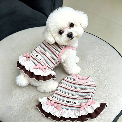 小猫咪条纹夏装新款春秋连衣裙狗狗衣服条纹泰迪比熊约克夏防掉毛