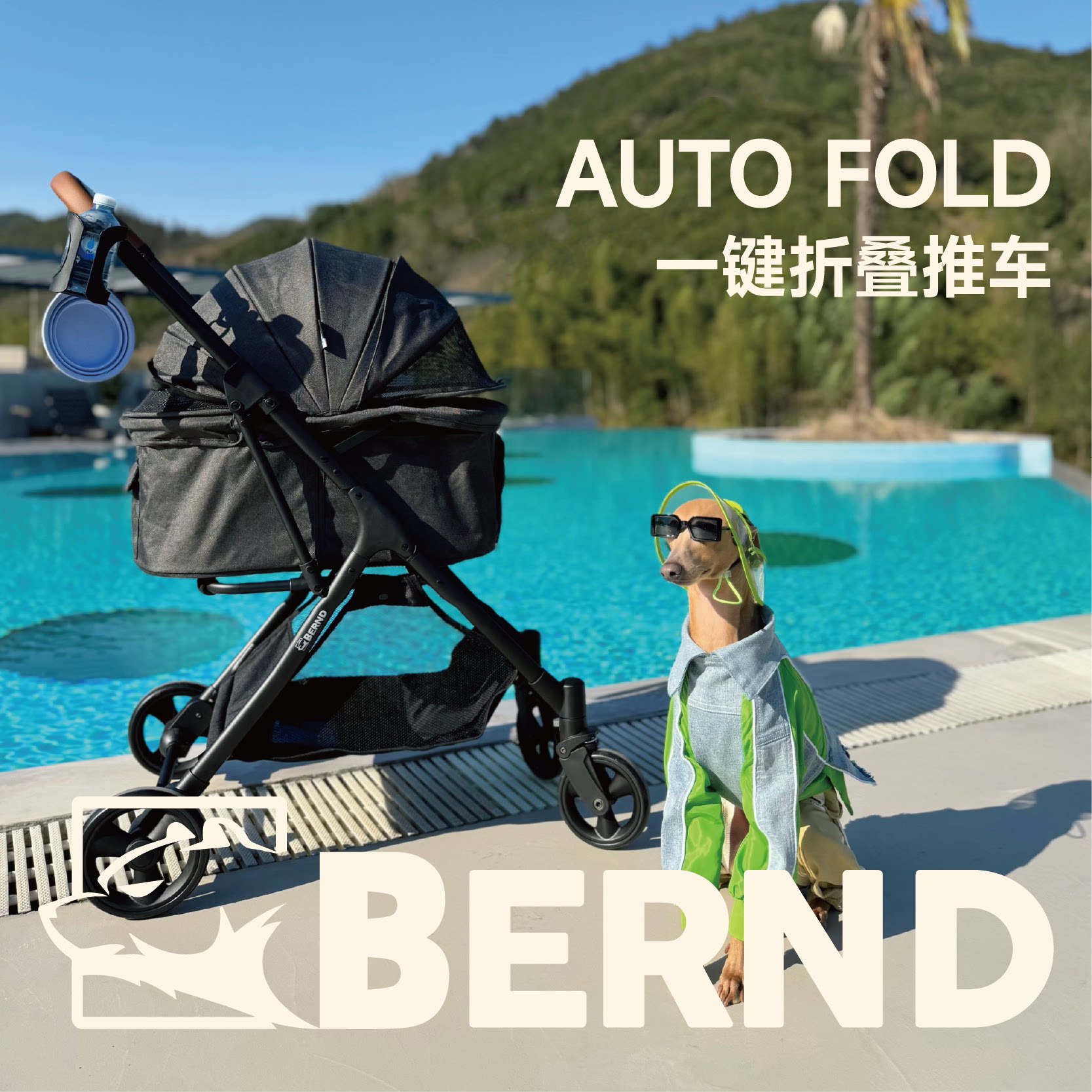 BerndLina轻便折叠宠物推车图片