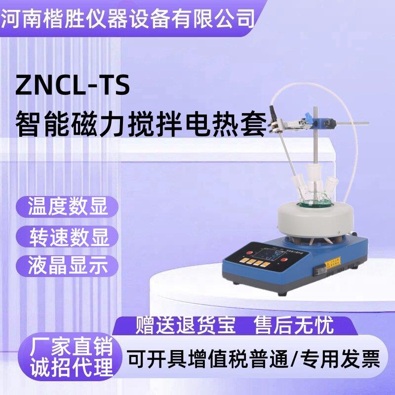 智能恒温磁力电热套搅拌机ZNCL-TS250ML500M实验室数显磁力搅拌器
