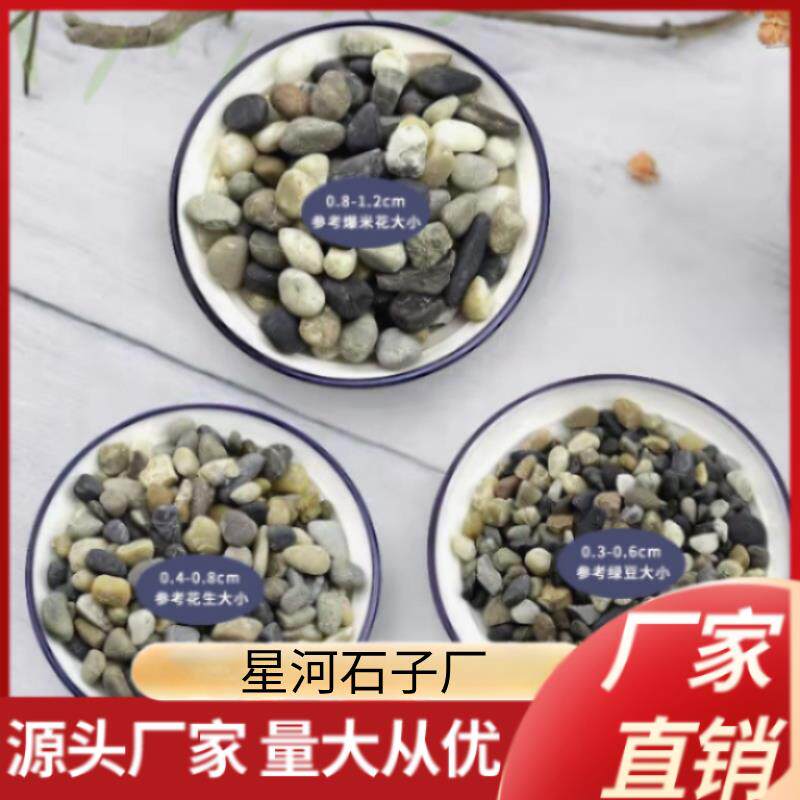 湖南沼泽过滤石头地暖找平回填专用豆石水洗滤料水处理石子