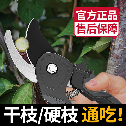 南威园艺剪刀修枝剪果树园林专用