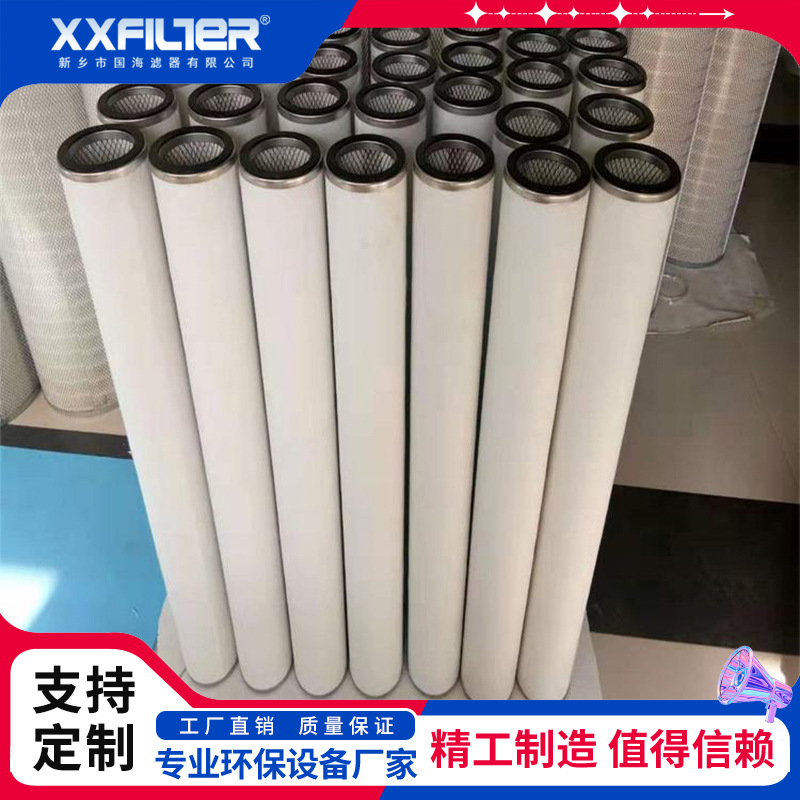 CS604LGT2DH13天然气滤芯  不锈钢过滤器滤芯 气液分离高效过滤