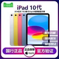Apple/蘋果ipad10第十代10.9 英寸 WiFi版國行資源機平板電腦