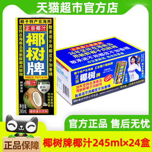 椰树牌椰子汁245ml*24盒装正宗椰树椰汁海南年货礼盒椰子汁饮料