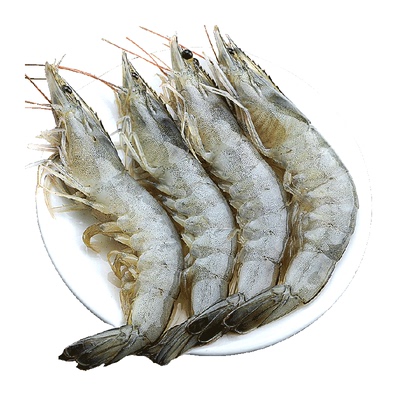 北海湾新鲜3040海虾