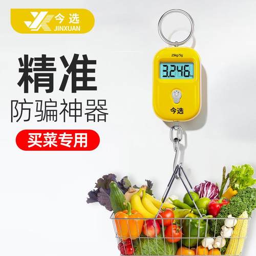 精准迷你手提电子秤高精度小型便携式吊秤弹簧秤家用钩称随身小秤