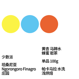 FEW少数派Steam 帕卡马拉水洗手冲咖啡豆100g Kissed坦桑尼亚