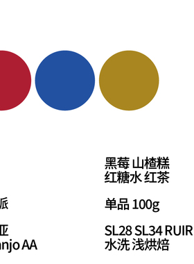 FEW少数派Steam Kissed 肯尼亚AA水洗手冲咖啡豆100g