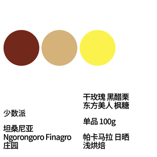 FEW少数派Steam Kissed坦桑尼亚帕卡马拉日晒处理手冲咖啡100g