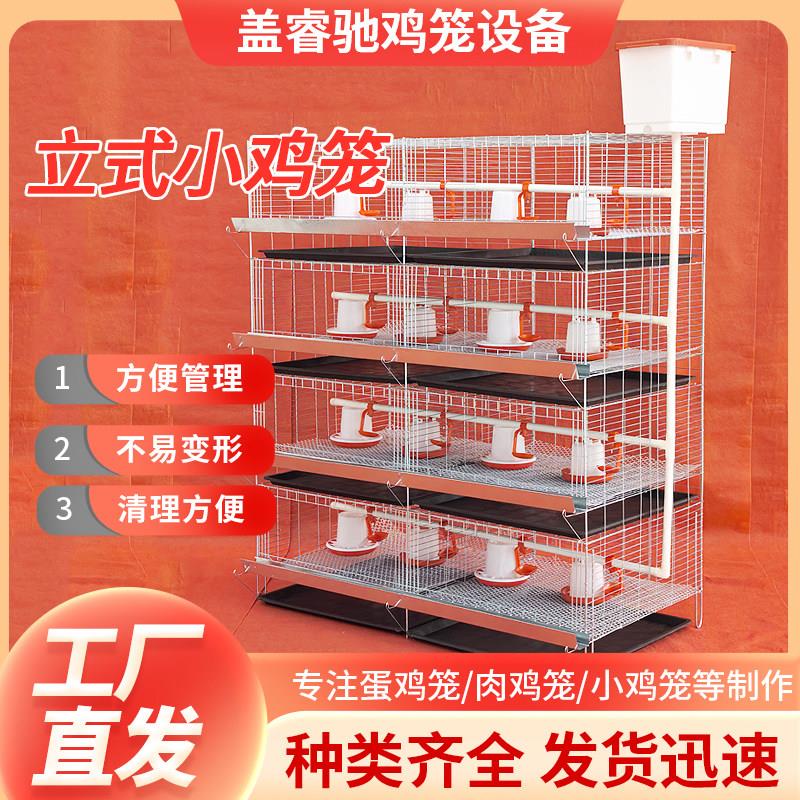 育雏笼小鸡笼子四层一体鸡笼养殖场家用都可 加粗加密养殖笼