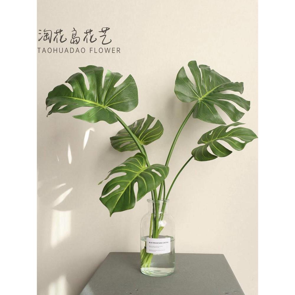 龟背竹叶彷真绿植水培桌面装饰摆件公司店铺摆放北欧清新绿叶花艺
