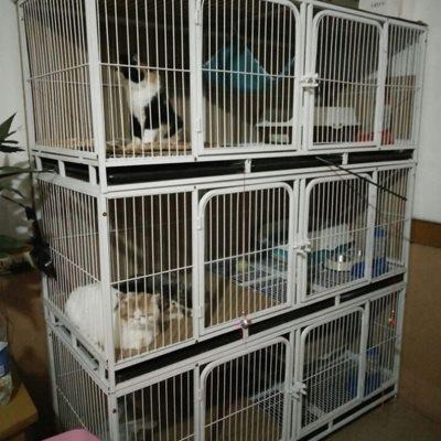 繁育猫笼猫别墅 猫笼子家用 室内猫舍狗笼繁殖寄养三层猫柜猫空笼