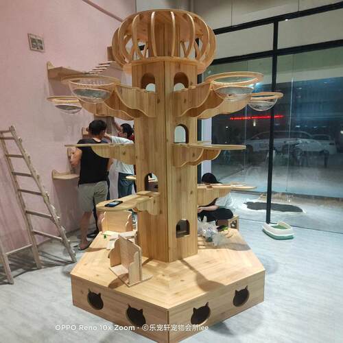 猫咖店铺展示架实木猫爬架猫窝猫树一体超大猫别墅抓板剑麻猫抓柱