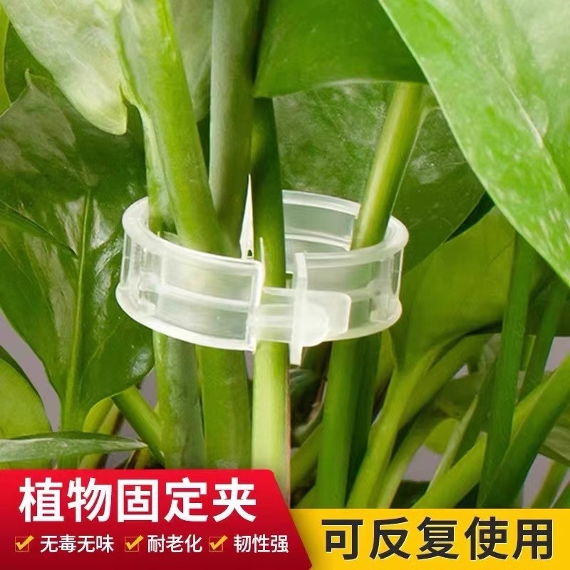 绿植果树植物固定夹卡扣藤蔓固定器秧苗爬藤支撑杆果蔬秧苗吊秧夹