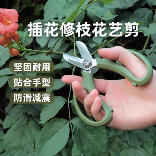 德国精工花剪园艺剪刀家用花艺修枝剪鲜花剪树枝专用剪刀果树园林