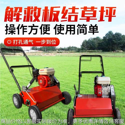 汽油草坪梳草机 草皮坪梳草养护机 手推草地枯草打理机