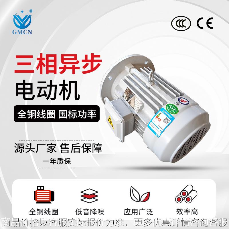 0.75/1.1W马达 8极三相异步电动机 YE3-100L1/L2-8高效节能电机