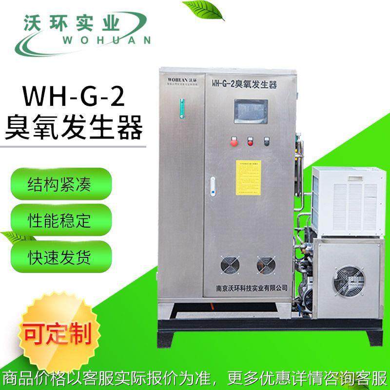 带冷水机臭氧发生器厂家供应氧气源废气处理设备工厂用空气净化器
