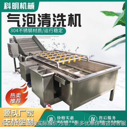 全自动清洗机高压喷淋樱桃清洗设备圣女果去泥清洗风干智能流水线