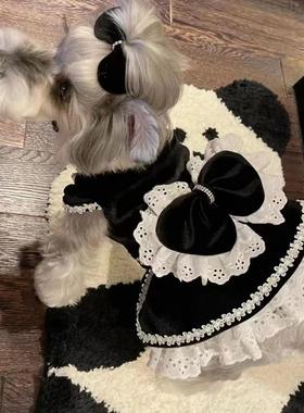 狗狗黑色衣服丝绒礼服公主裙子猫咪约克夏宠物比熊博美泰迪小型
