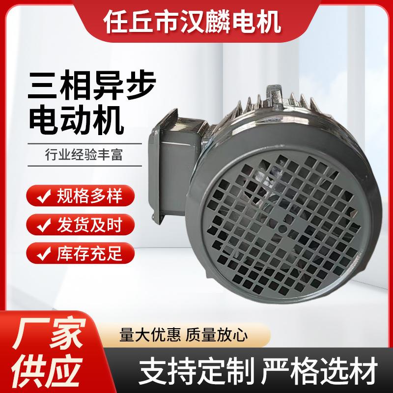 源头厂家三相异步电动机YE3-71M2-2三相电机0.55W铝壳定制