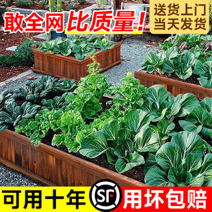 种菜箱家庭阳台蔬菜种植箱户外防腐木长方形碳化花盆室内花箱