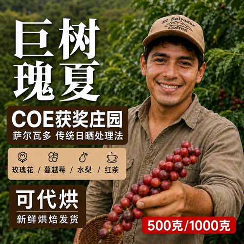 (咖啡生豆)萨尔瓦多瑰夏咖啡豆巨树庄园日晒瑰夏咖啡豆手冲咖啡豆