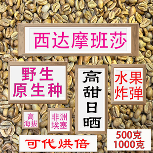 (咖啡生豆)西达摩班莎咖啡豆埃塞尔比亚西达摩咖啡豆进口咖啡豆