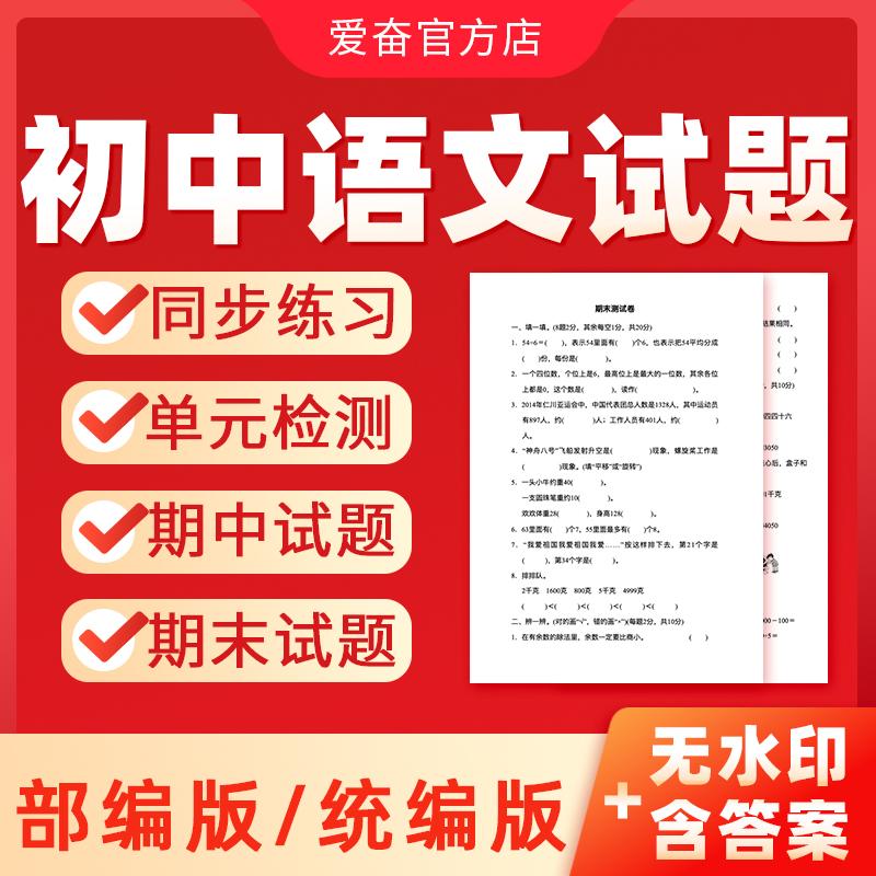 2025初中语文试卷练习题电子版